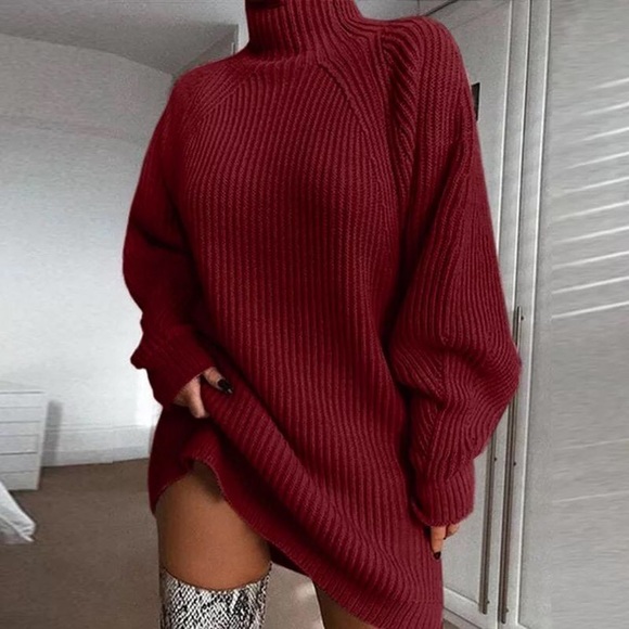 TurtleNeck Sweater Dress - Picture 1 of 1